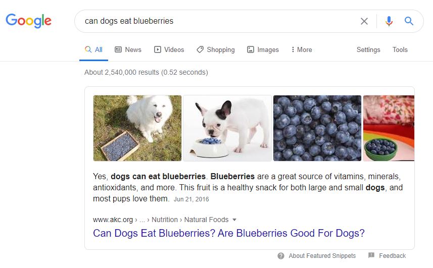 a google search results page for the query “can dogs eat blueberries” with a featured snippet from the akc that says “Yes, dogs can eat blueberries” with images of dogs eating blueberries